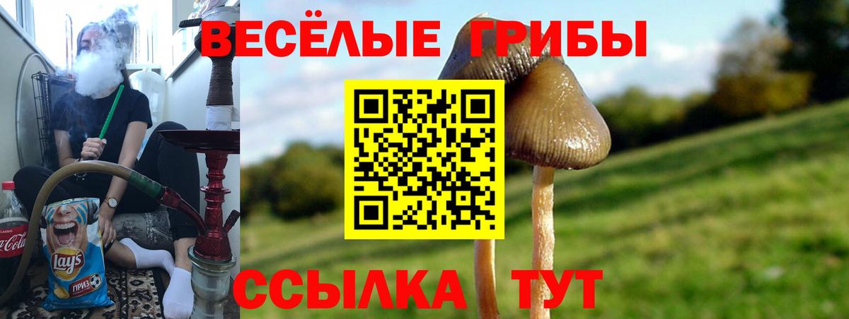 Псилоцибиновые грибы GOLDEN TEACHER  Вход с VPN  Псилоцибиновые грибы мицелий  купить закладку  Шебекино 