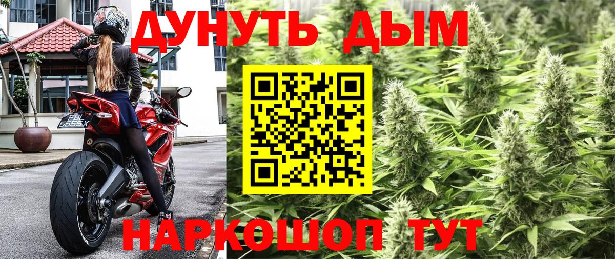 Шишки марихуана White Widow Шебекино